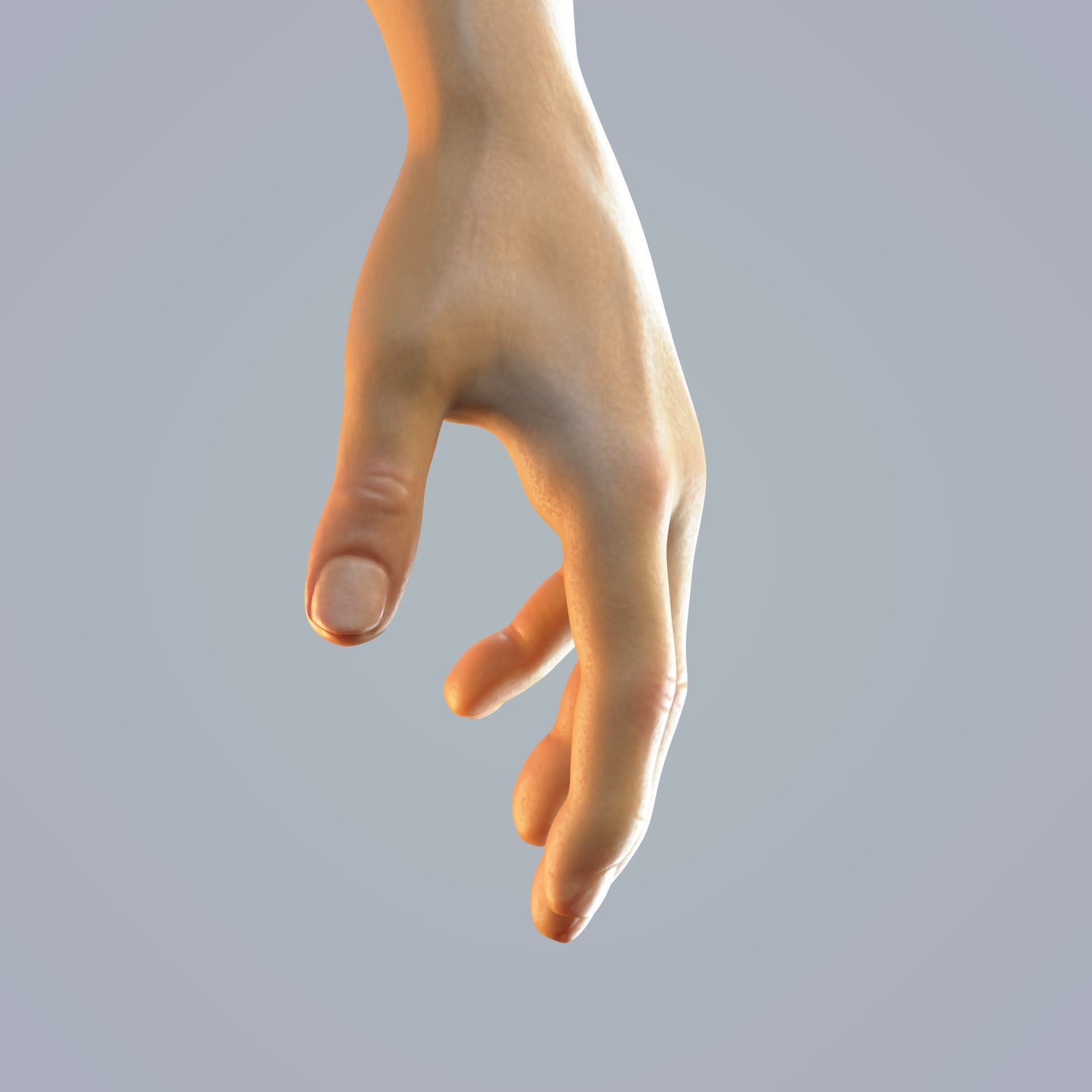 hand anatomy man 3D model_13