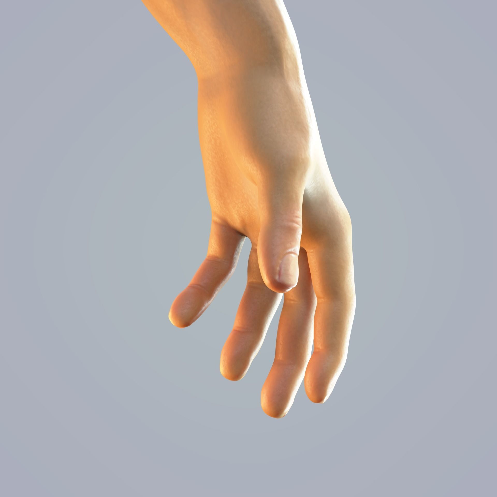 hand anatomy man 3D model_11