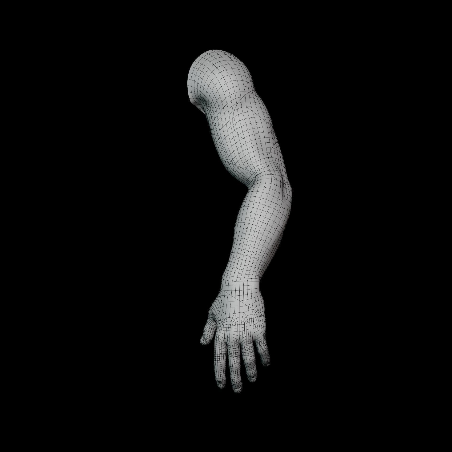 hand anatomy man 3D model_19