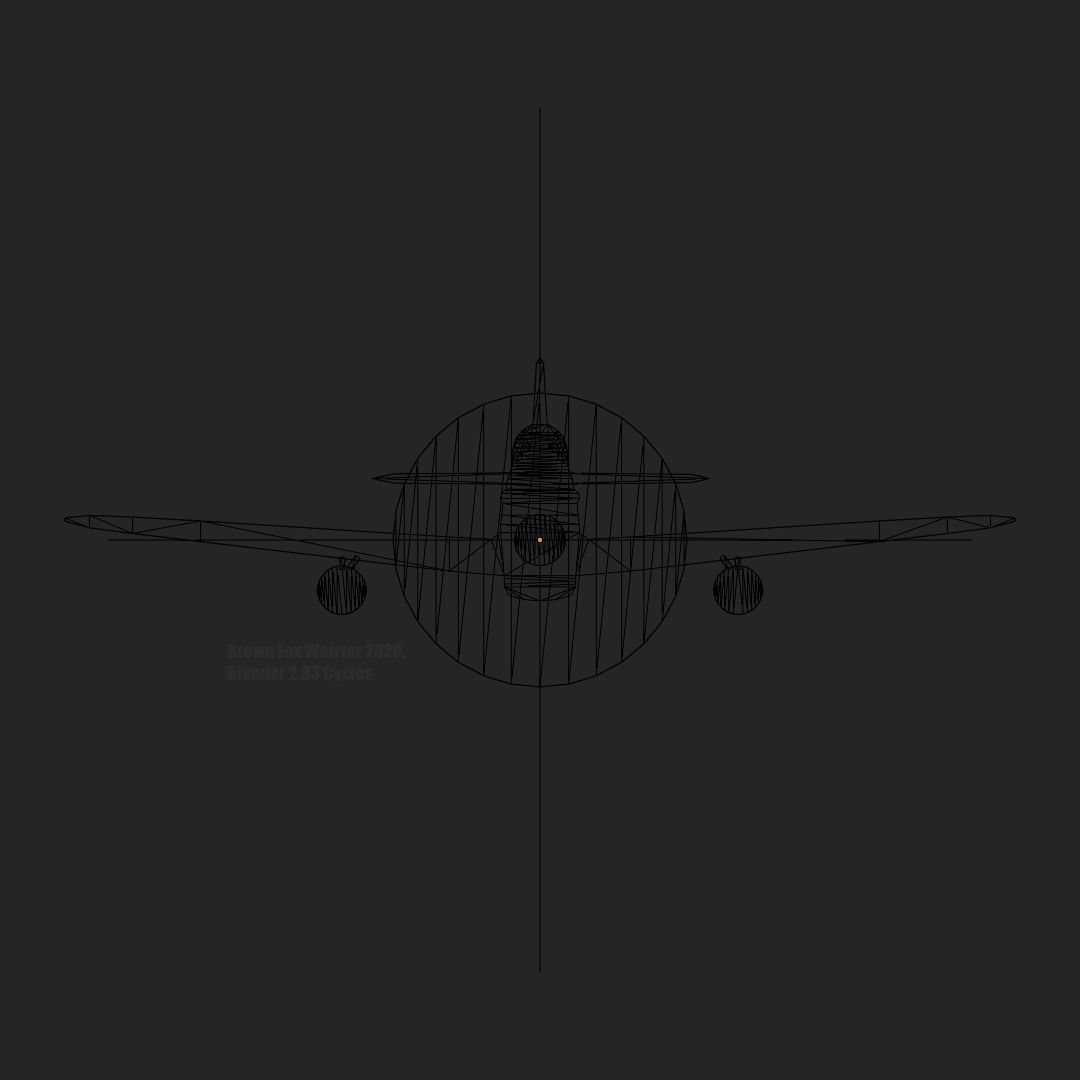P51D Mustang 2D Cutout Low-poly 3D model_2