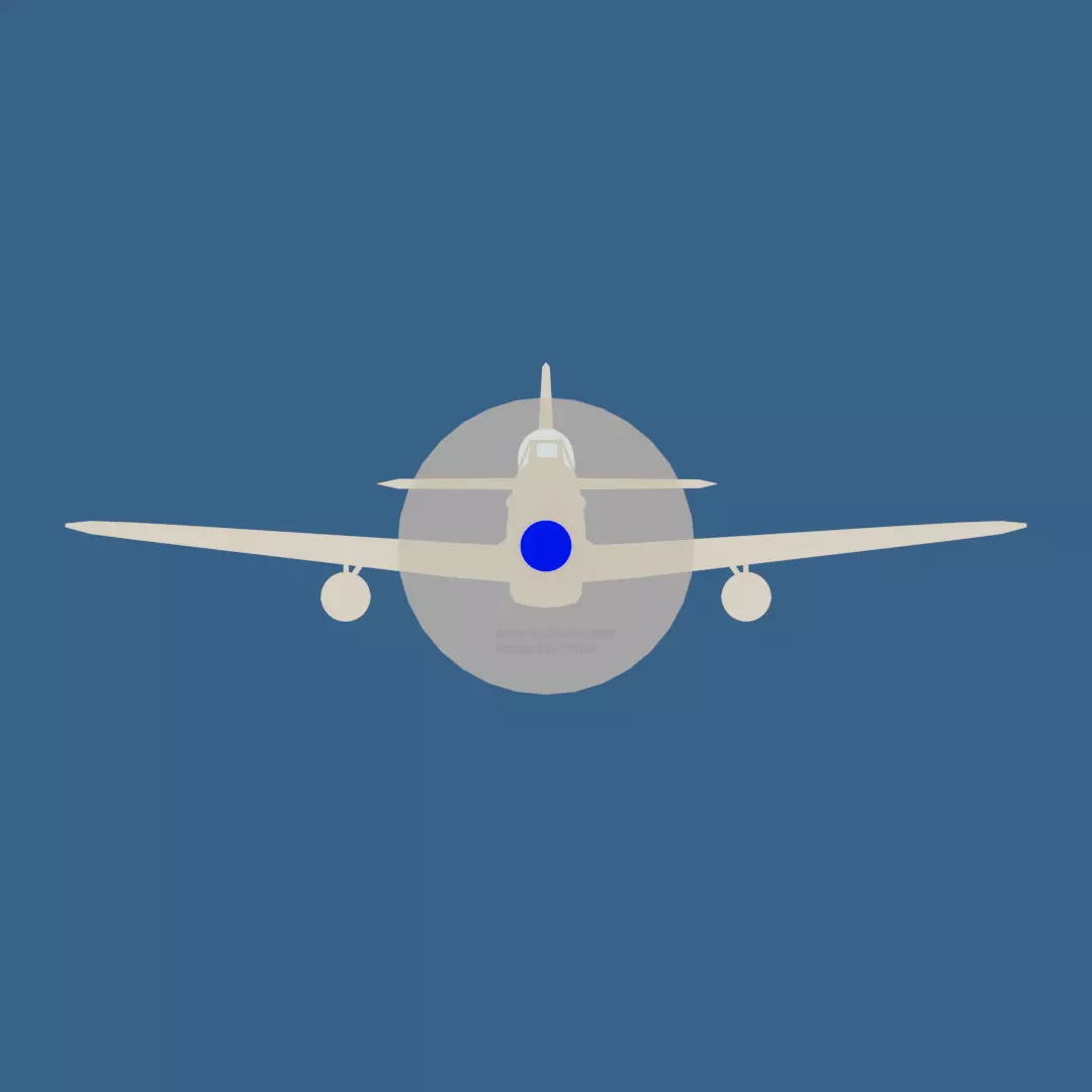 P51D Mustang 2D Cutout Low-poly 3D model_0