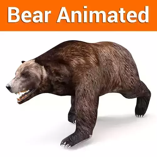 Brown Bear Rigged and animated 3D Model Low-poly 3D model
