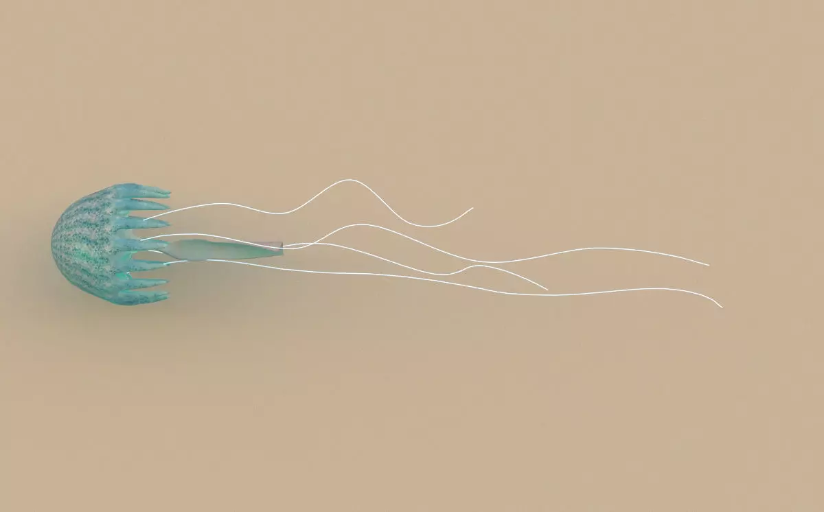 JellyFish Low-poly 3D model