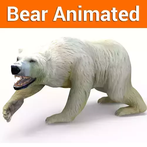 3D Model White Bear Rigged and animated Low-poly 3D model