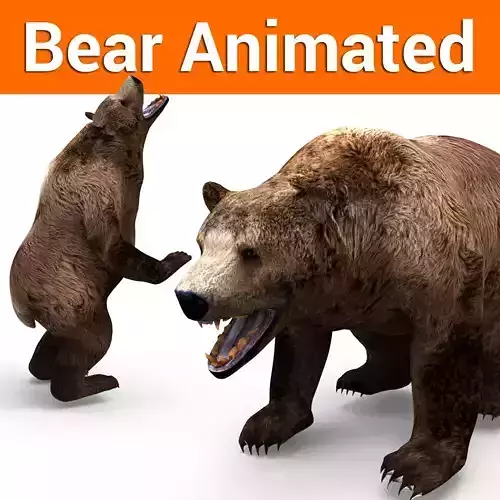 3D Brown Bear Rigged and animated  Low-poly 3D model