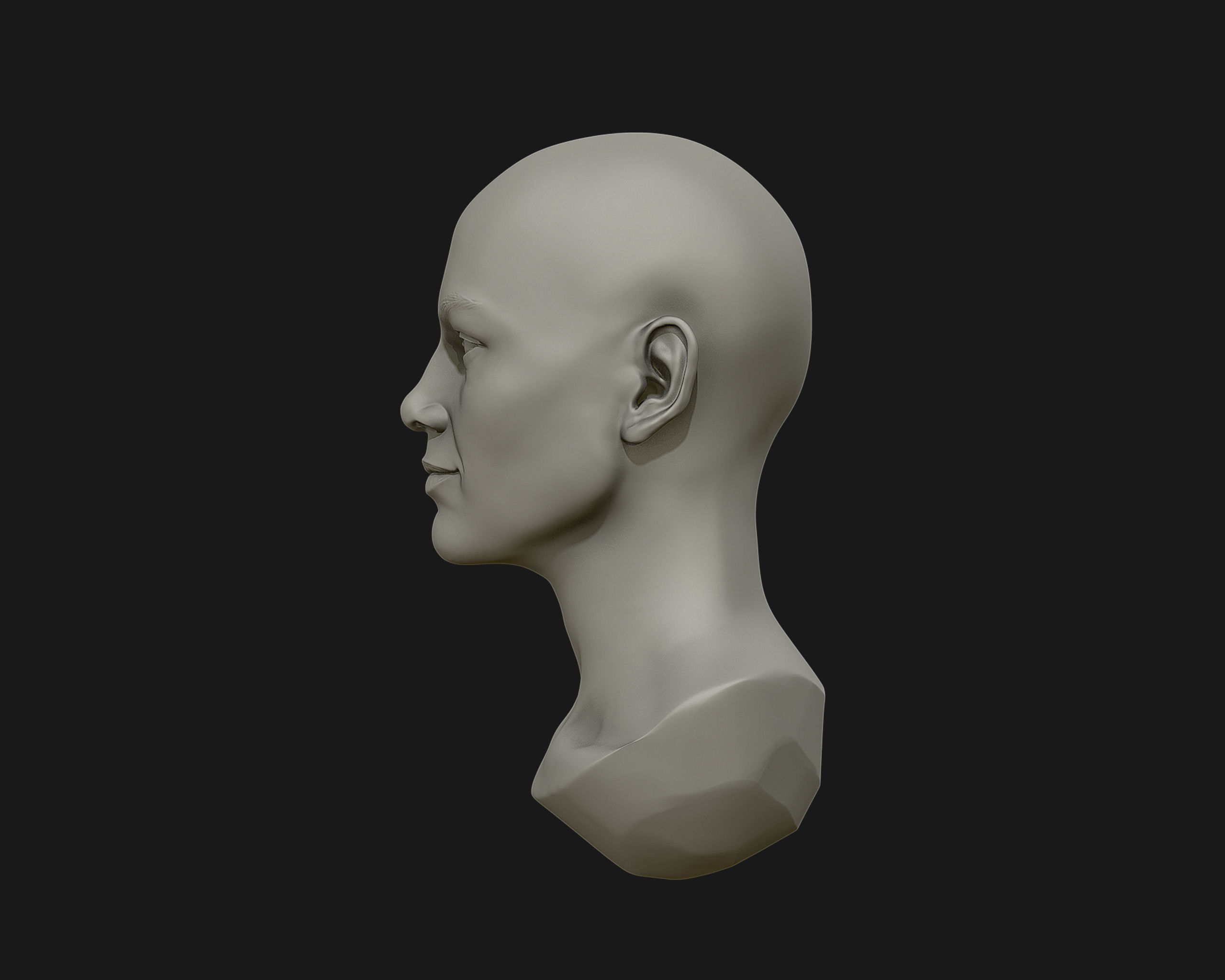 Female Head for sculpting 3D print model_7