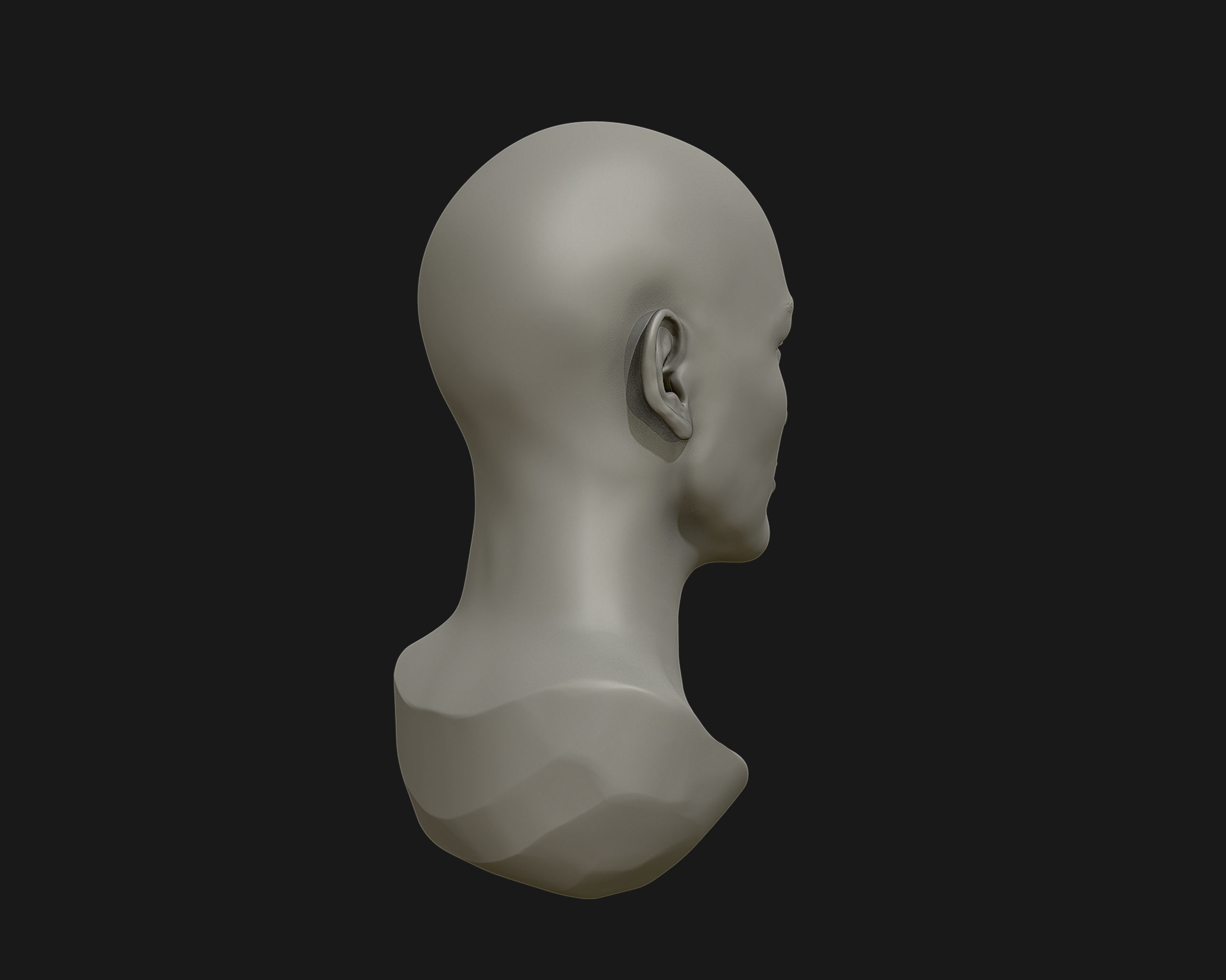 Female Head for sculpting 3D print model_10