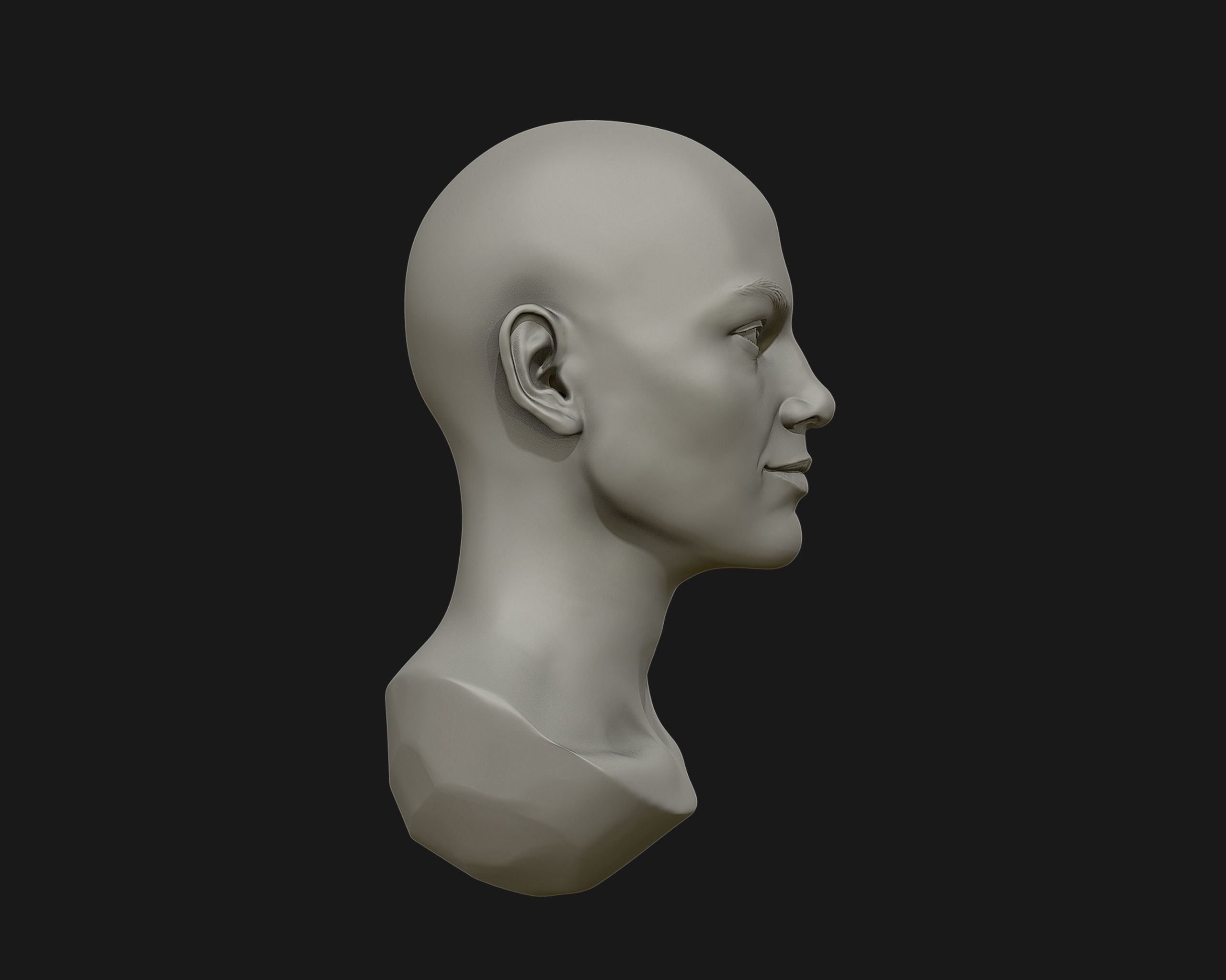 Female Head for sculpting 3D print model_11
