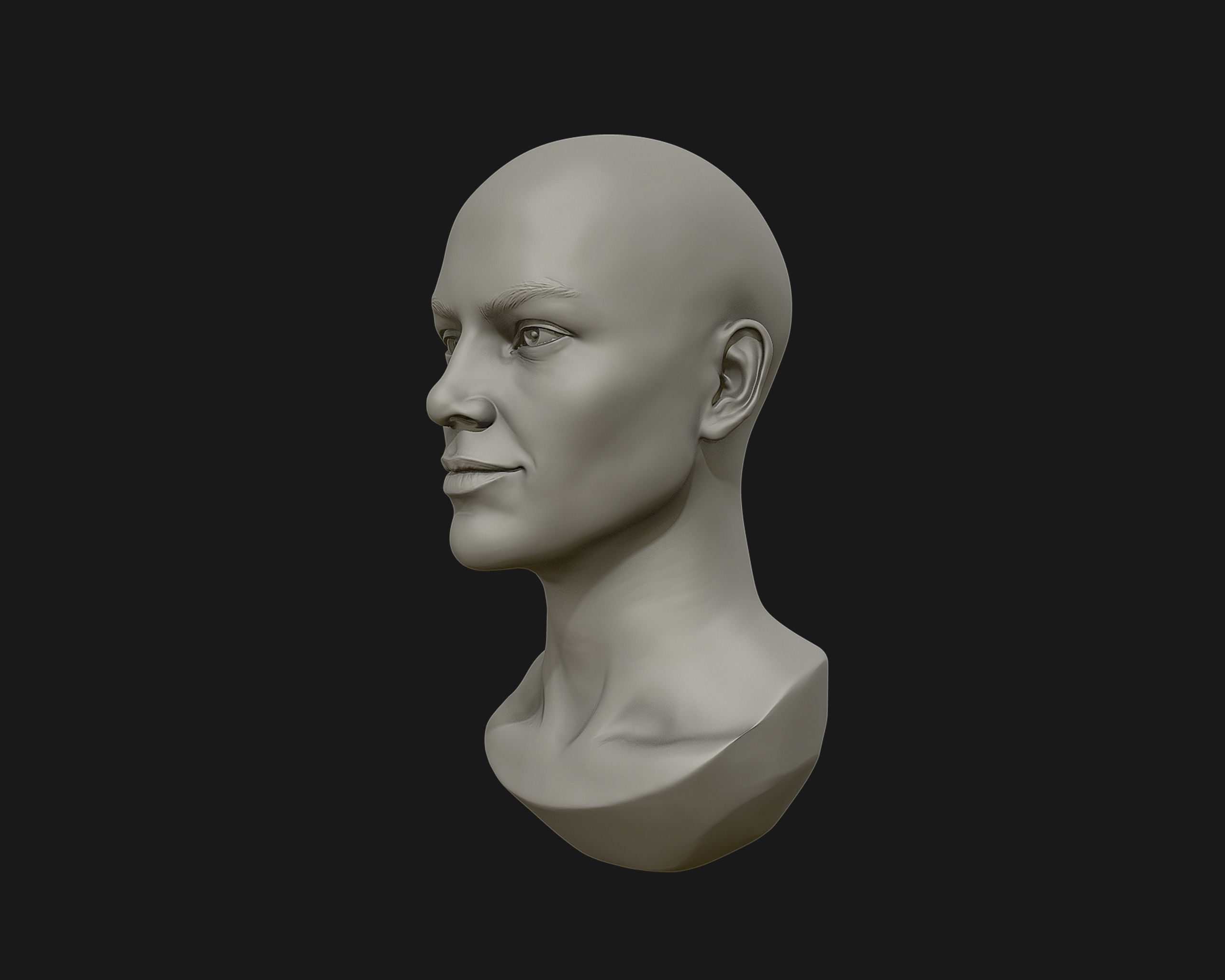 Female Head for sculpting 3D print model_6