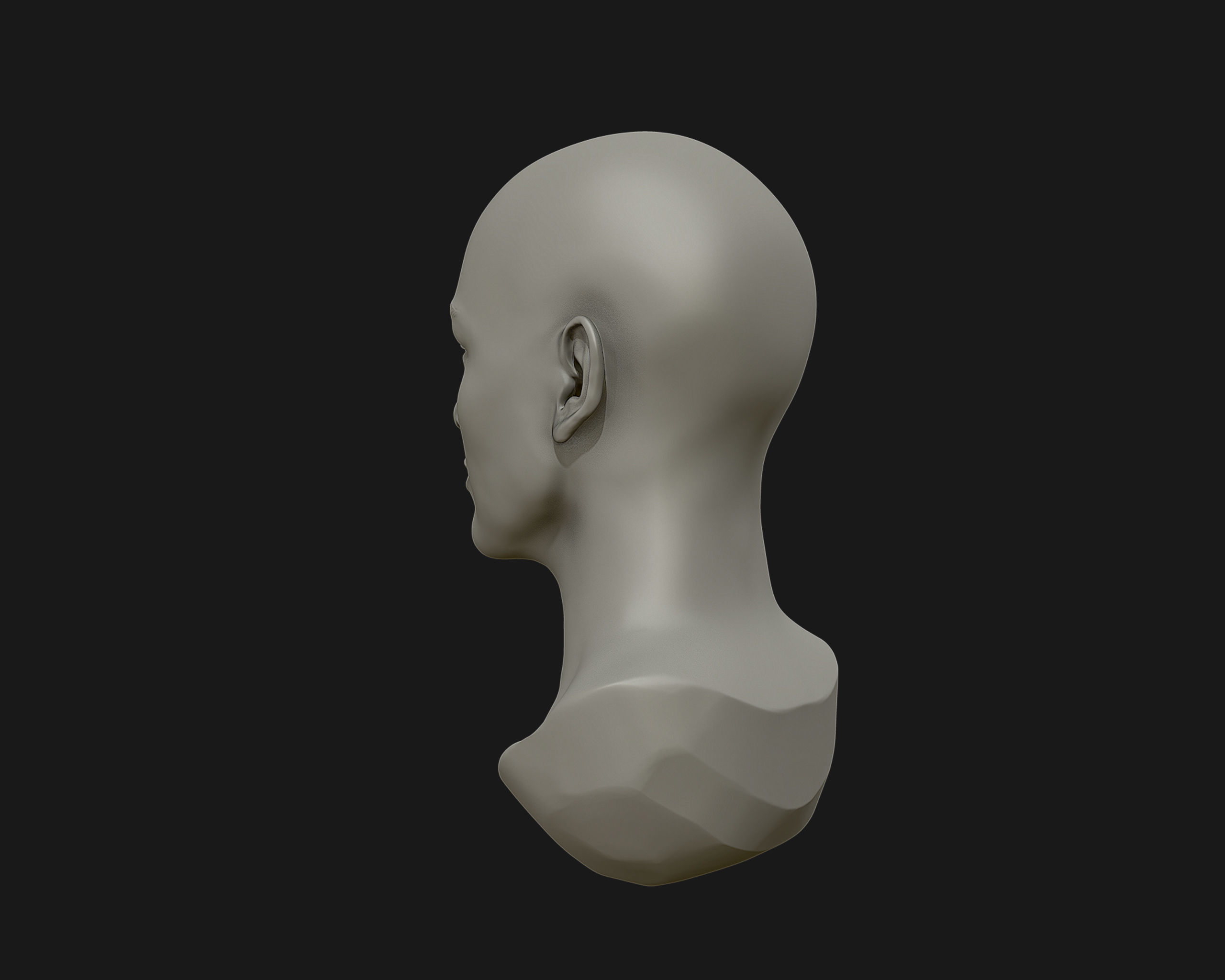Female Head for sculpting 3D print model_8