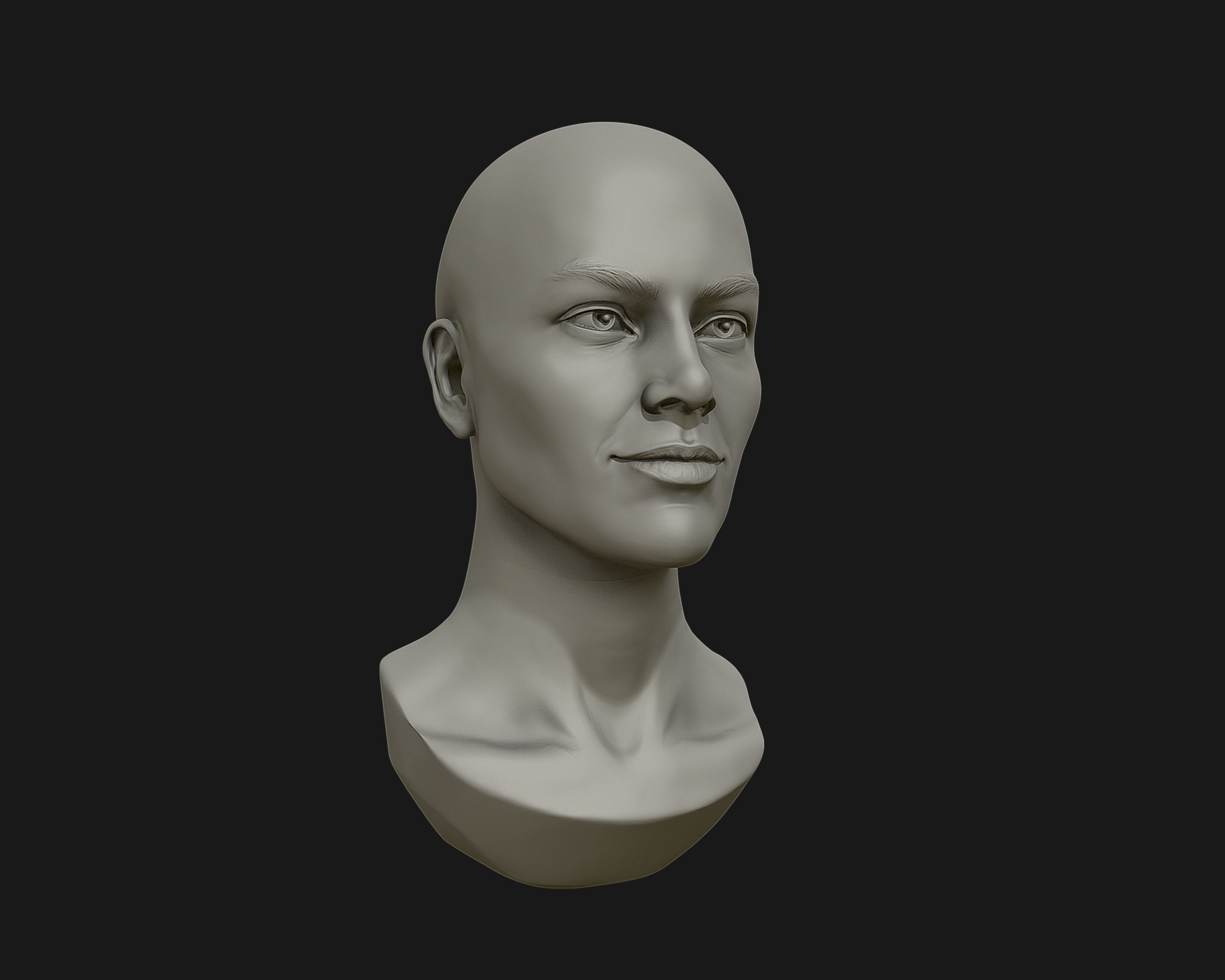 Female Head for sculpting 3D print model_13