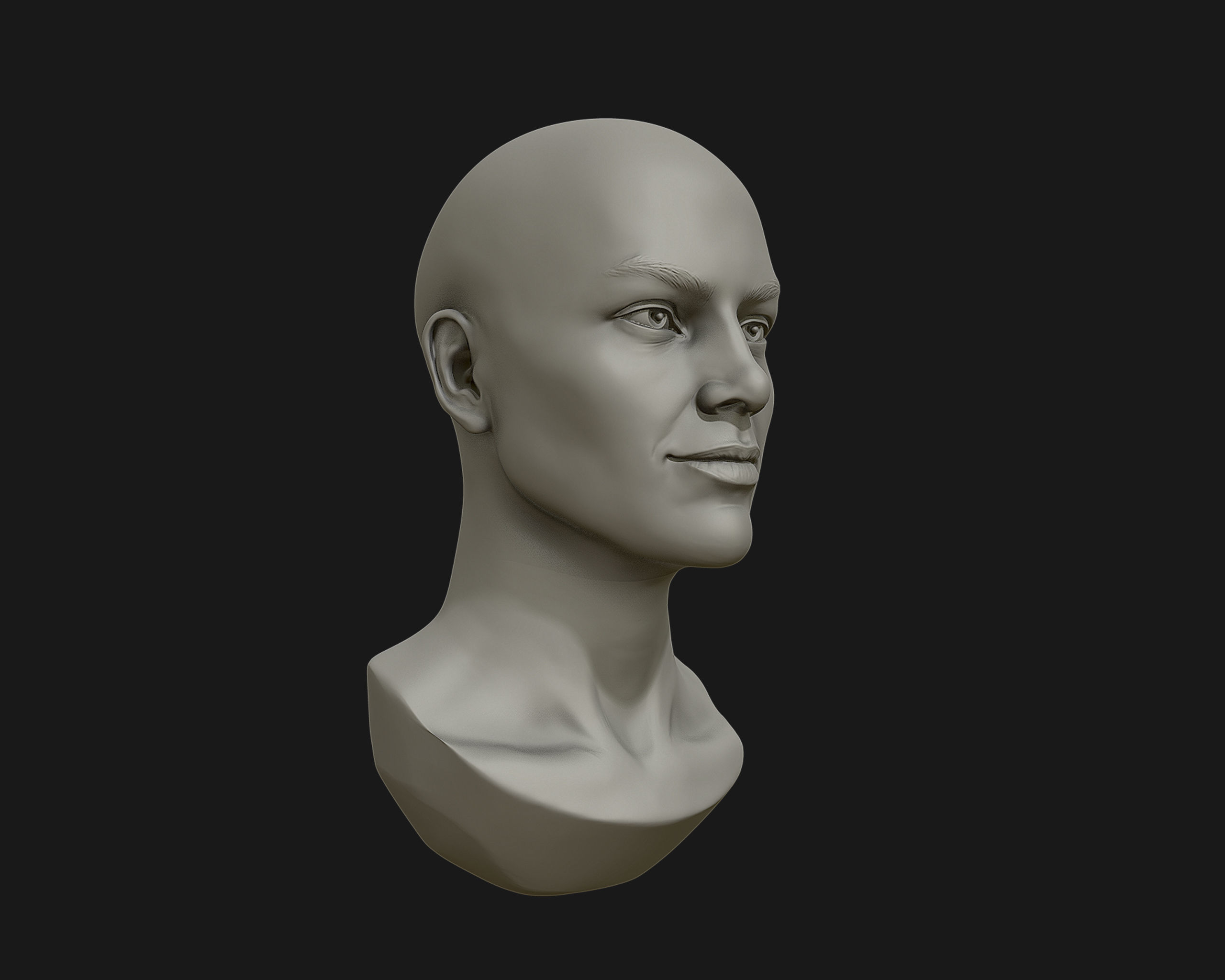 Female Head for sculpting 3D print model_12