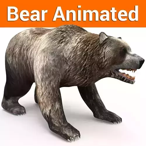 Bear Rigged and animated 3D Low-poly 3D model