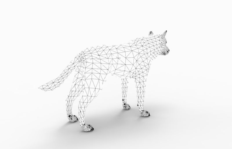3d White Wolf rigged and animated  Low-poly 3D model_25