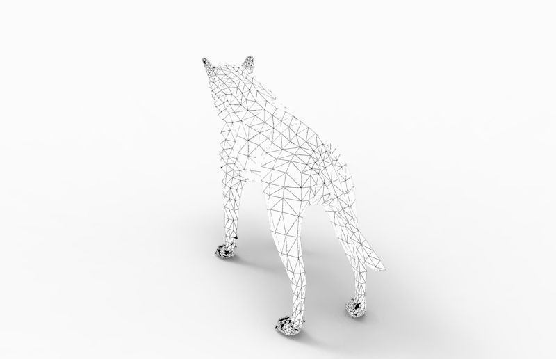 3d White Wolf rigged and animated  Low-poly 3D model_26