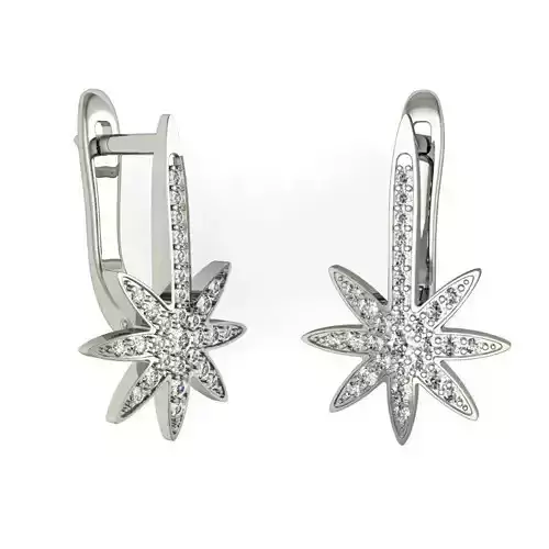 earrings star
