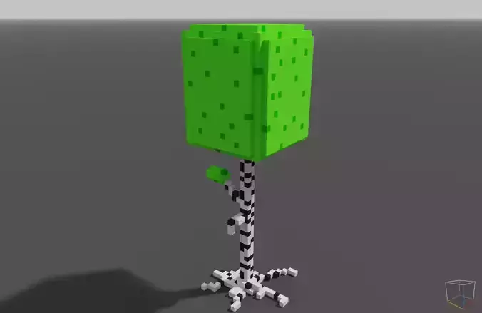 Voxel Brich 