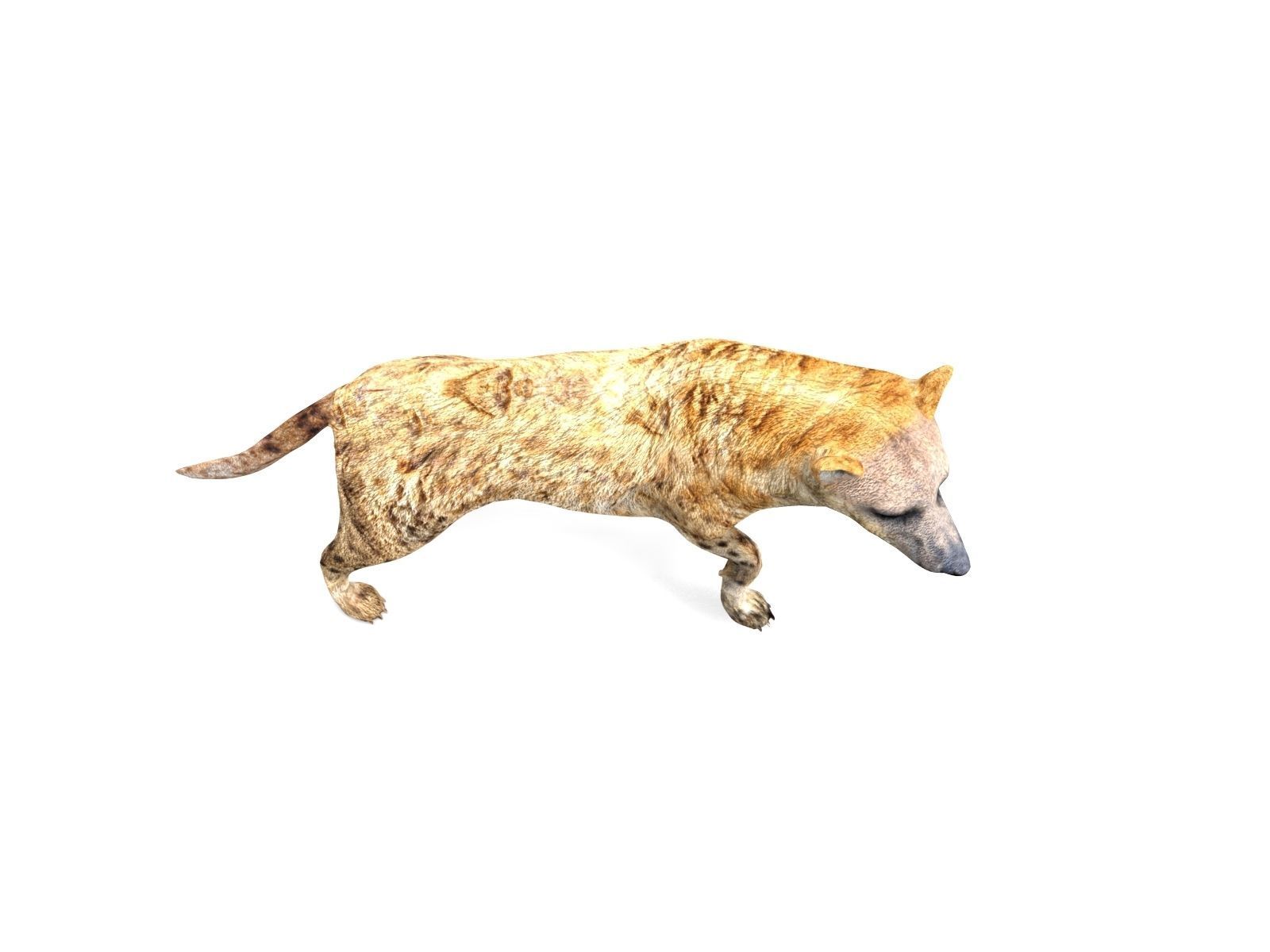 3D hyena rigged animated game ready Low-poly 3D model_13