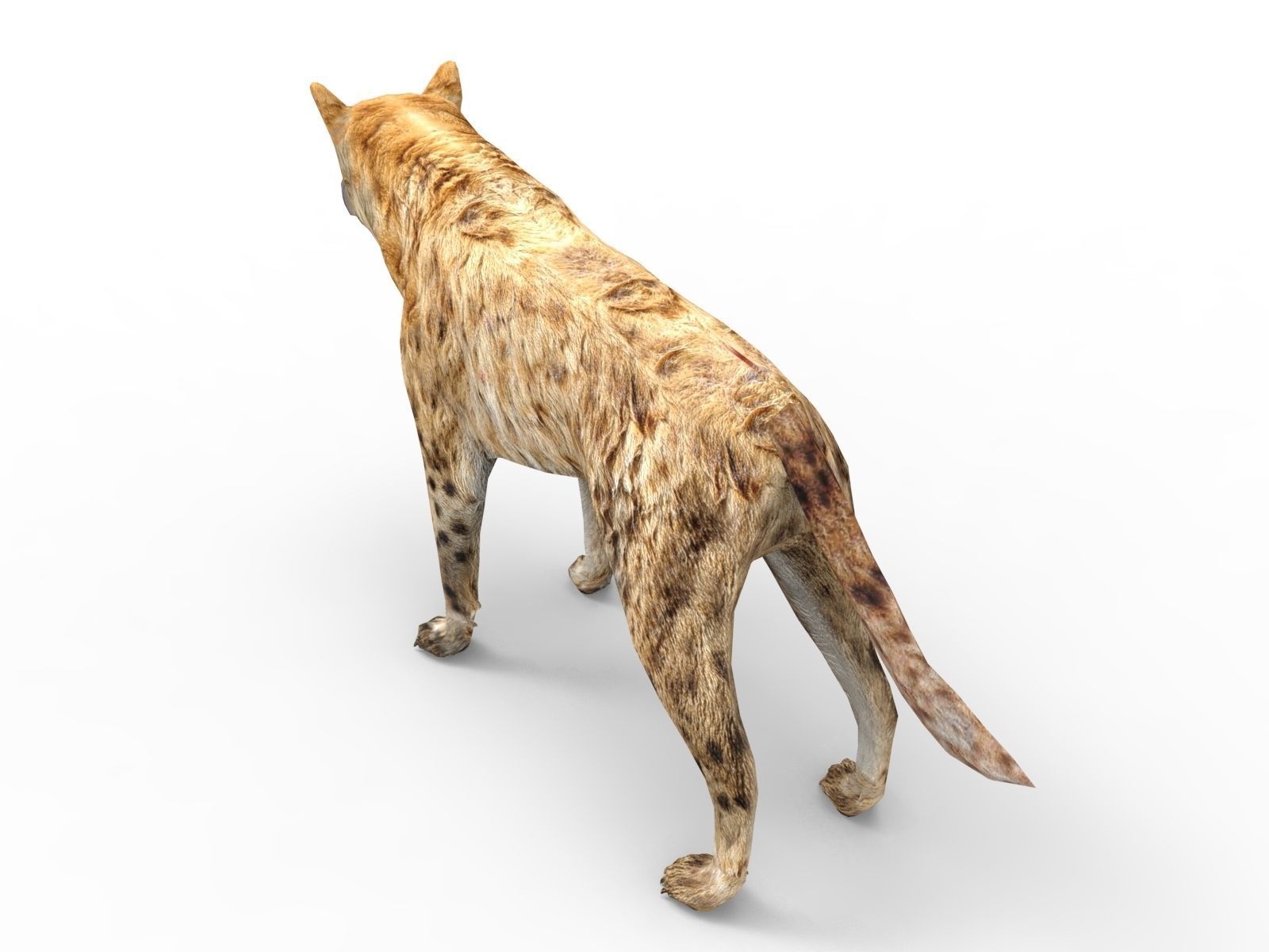 3D hyena rigged animated game ready Low-poly 3D model_4