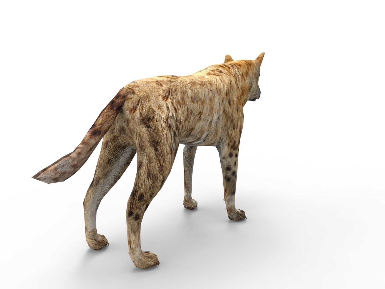 3D hyena rigged animated game ready Low-poly 3D model_6