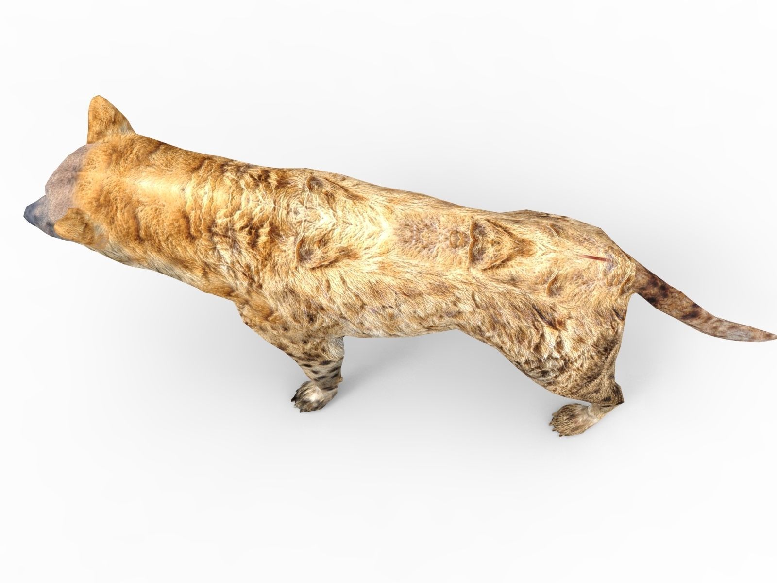 3D hyena rigged animated game ready Low-poly 3D model_3