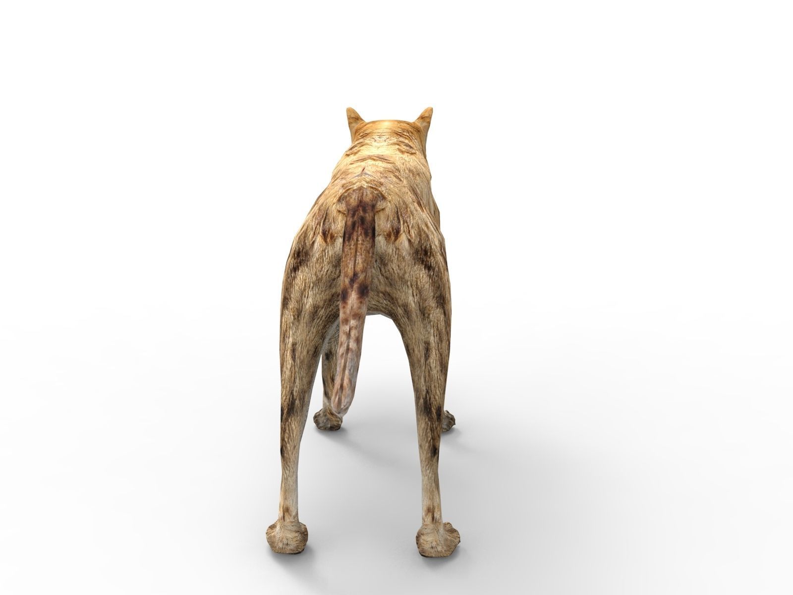 3D hyena rigged animated game ready Low-poly 3D model_5