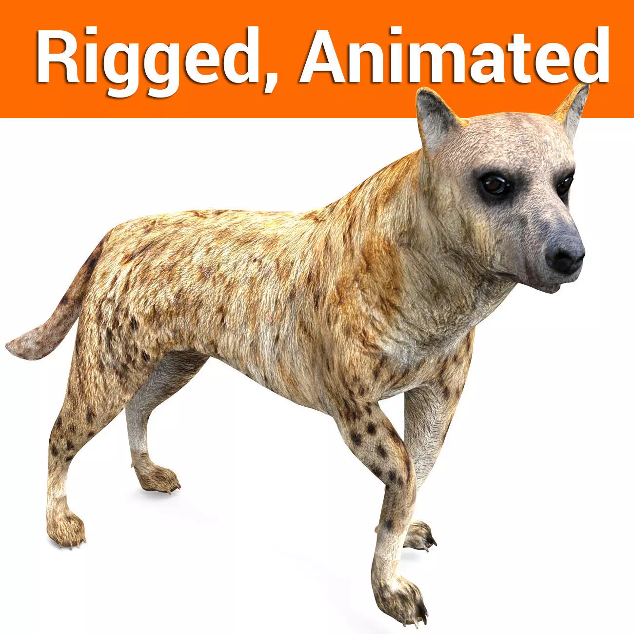 3D hyena rigged animated game ready Low-poly 3D model_0