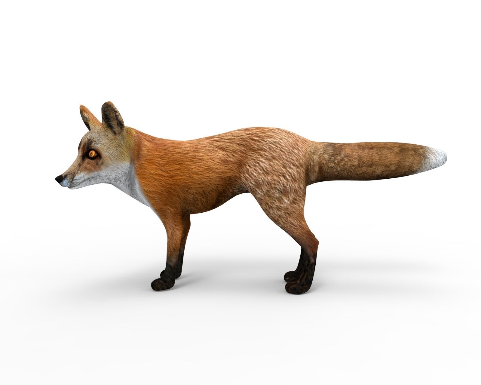 3D Fox Rigged Animated model Low-poly 3D model_4