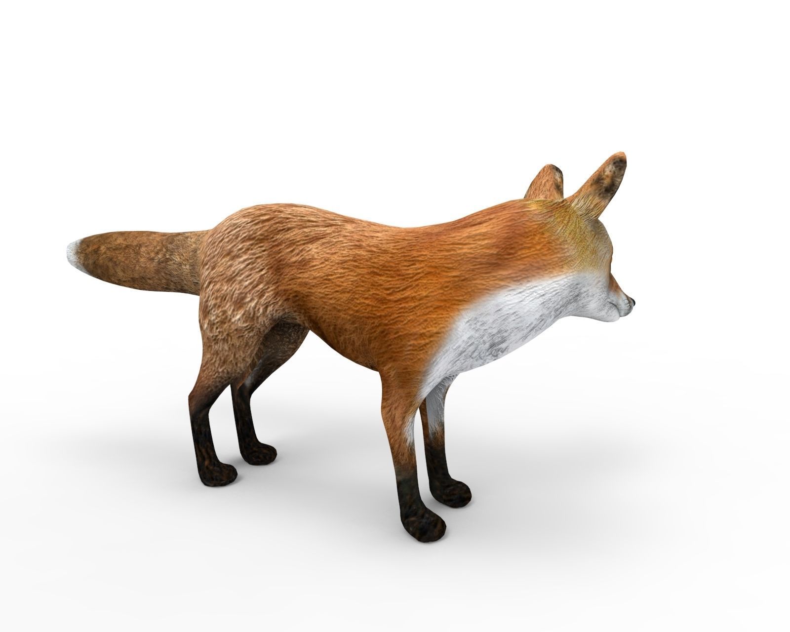3D Fox Rigged Animated model Low-poly 3D model_3