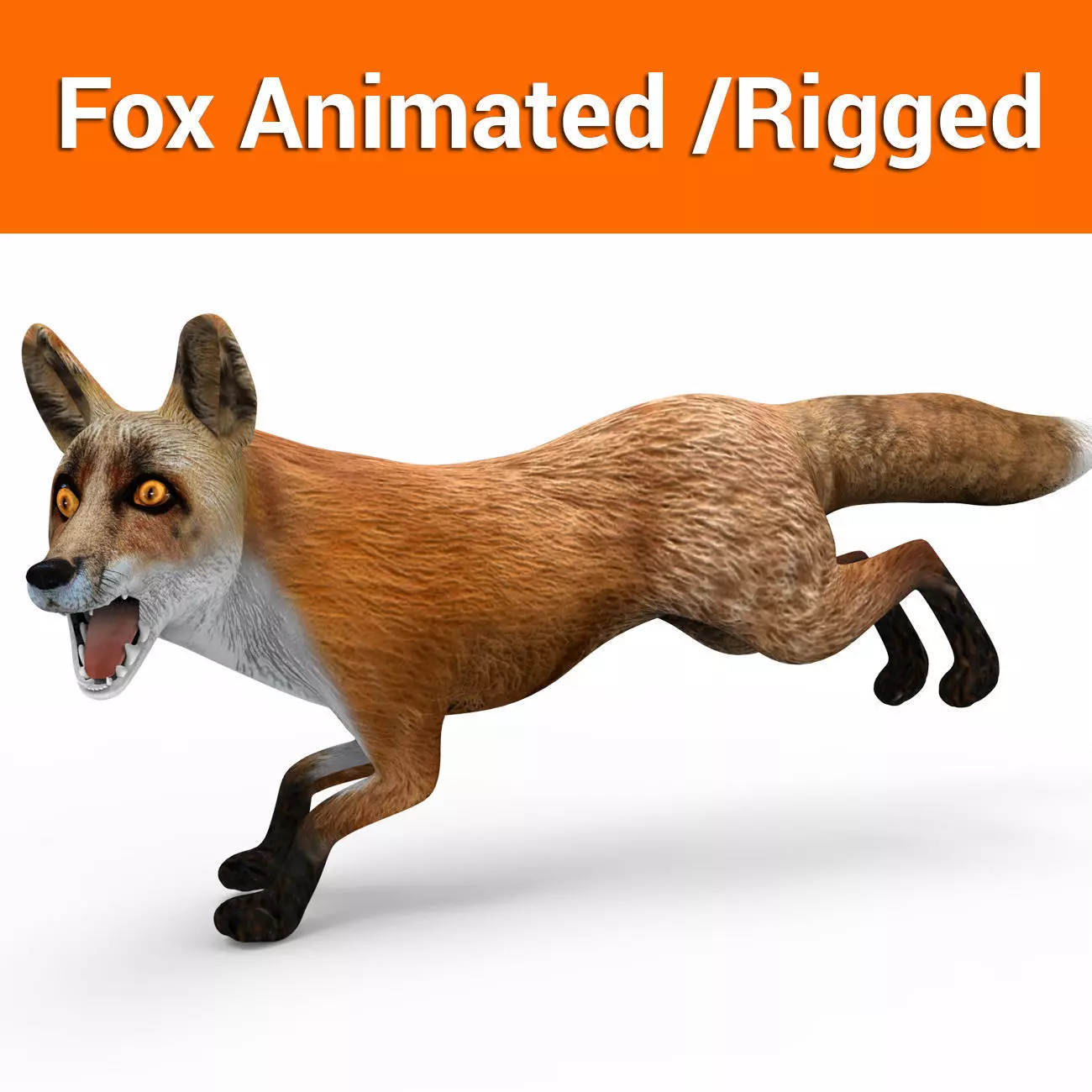 3D Fox Rigged Animated model Low-poly 3D model_0