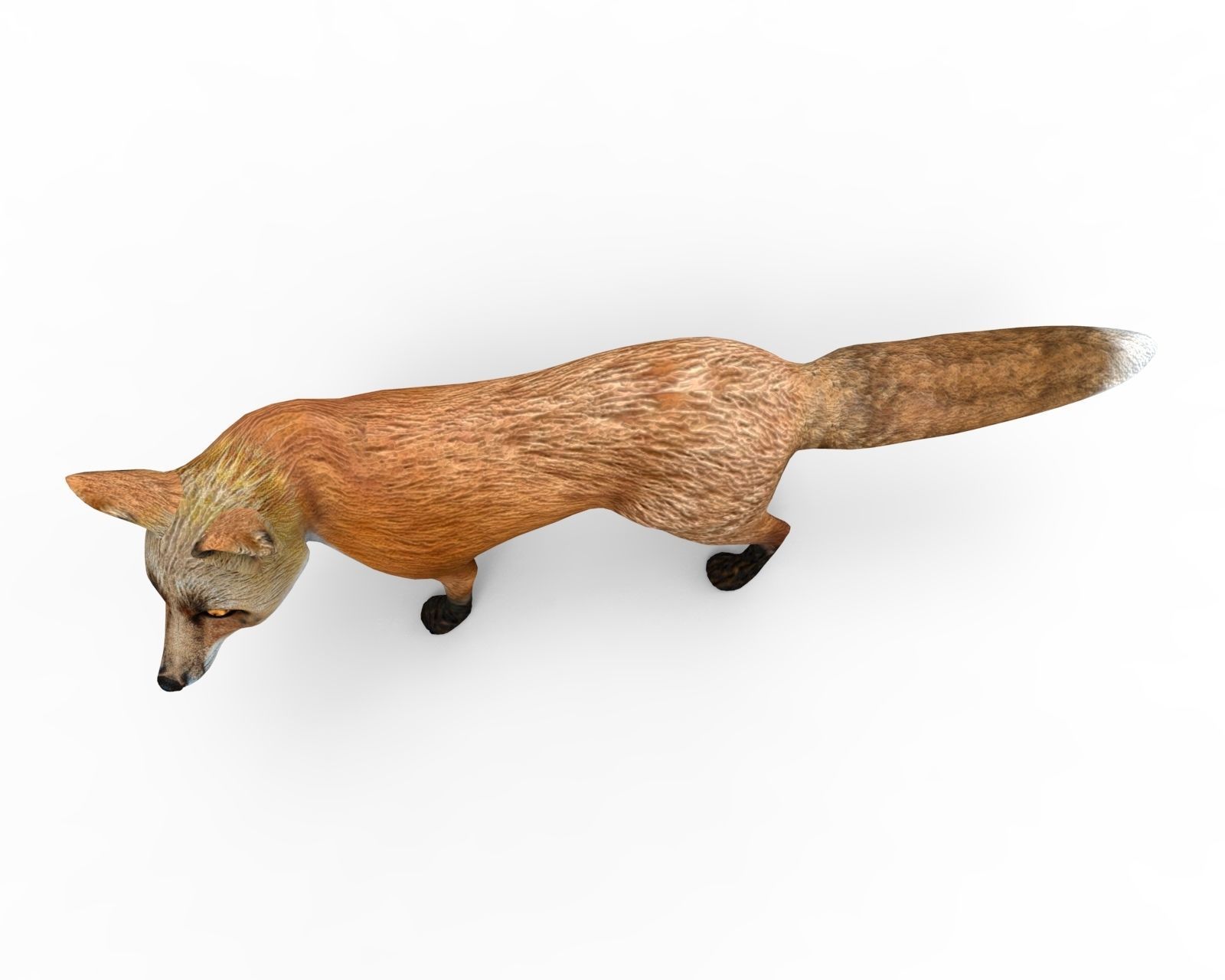 3D Fox Rigged Animated model Low-poly 3D model_5