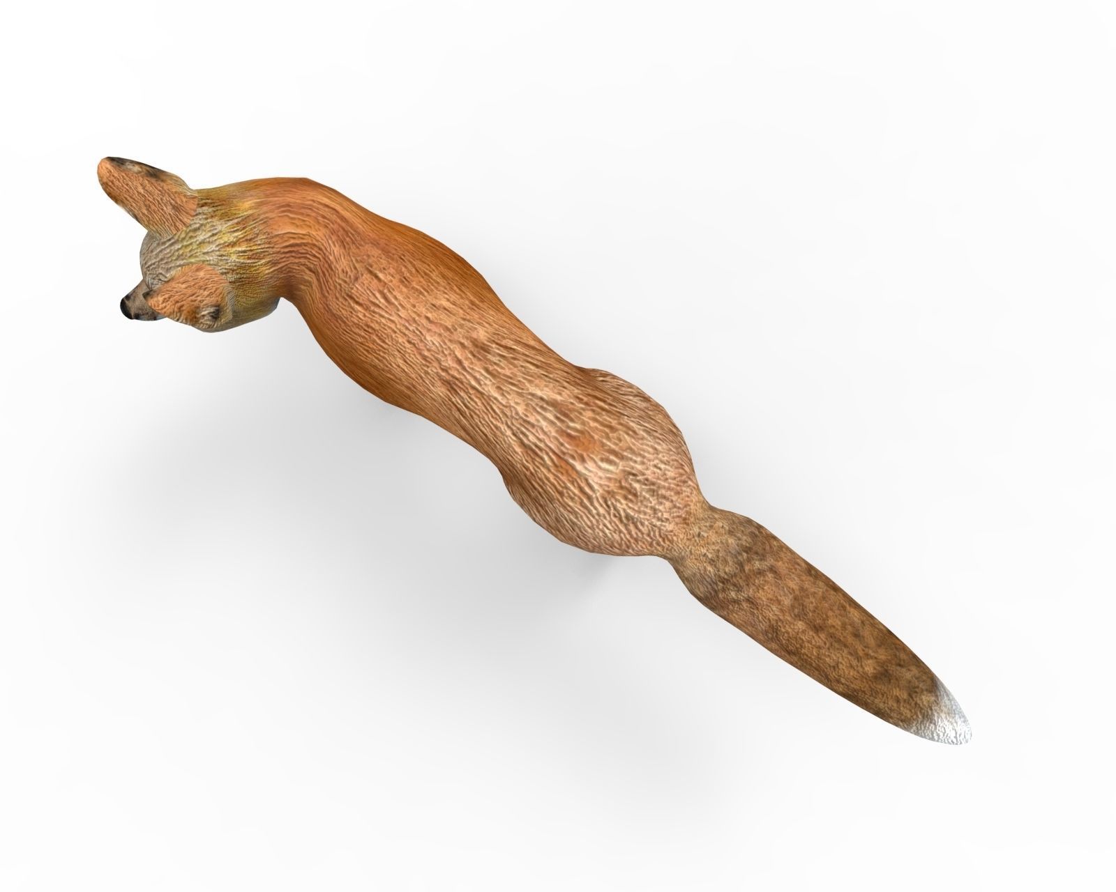 3D Fox Rigged Animated model Low-poly 3D model_8