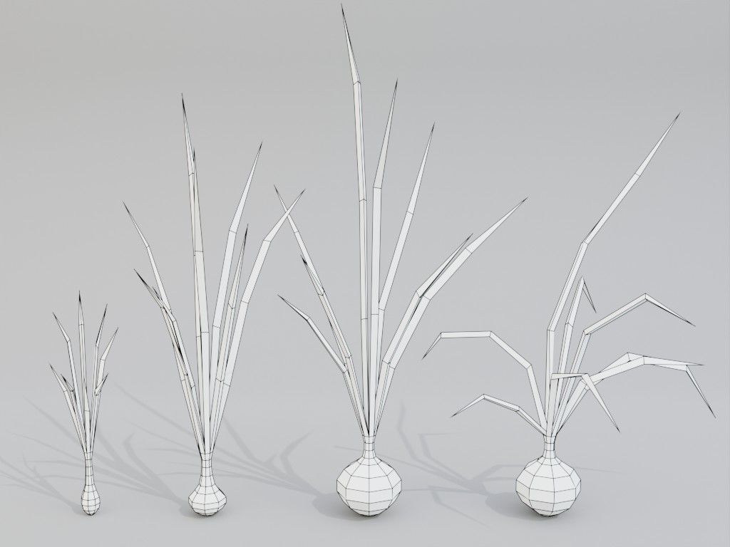 Low poly onion Low-poly 3D model_5