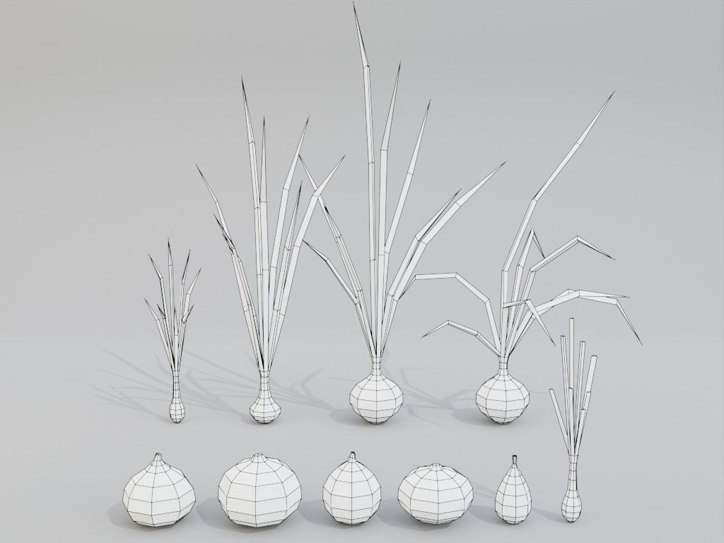 Low poly onion Low-poly 3D model_1