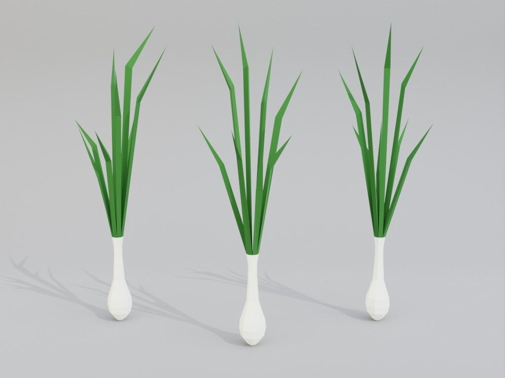 Low poly onion Low-poly 3D model_6