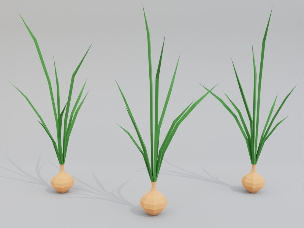 Low poly onion Low-poly 3D model_10