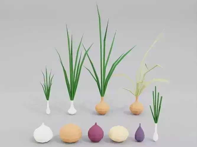 Low poly onion Low-poly 3D model
