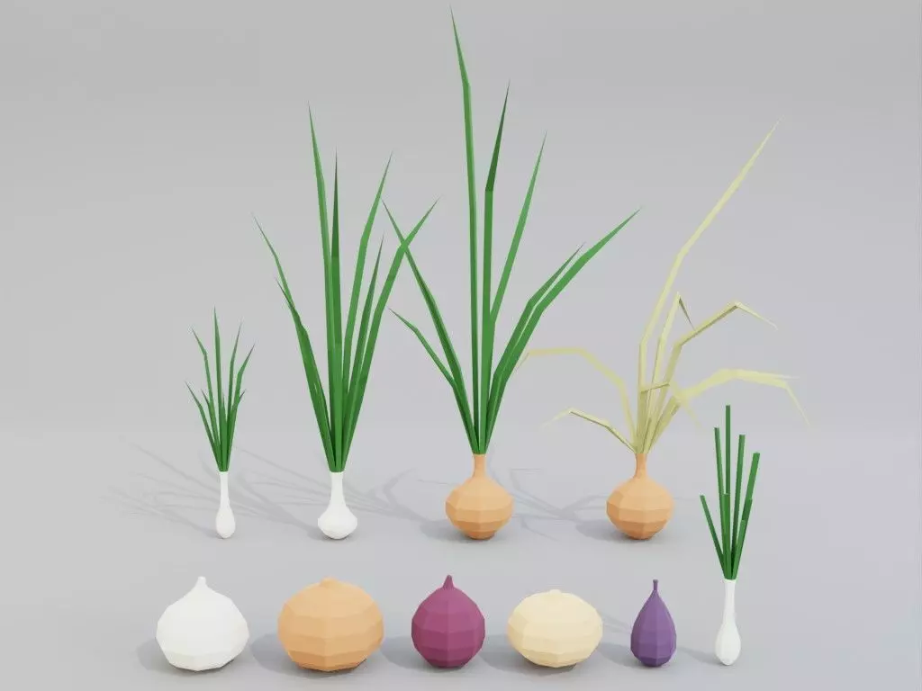 Low poly onion Low-poly 3D model_0