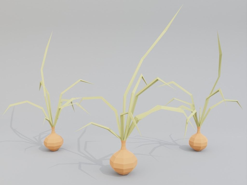 Low poly onion Low-poly 3D model_12