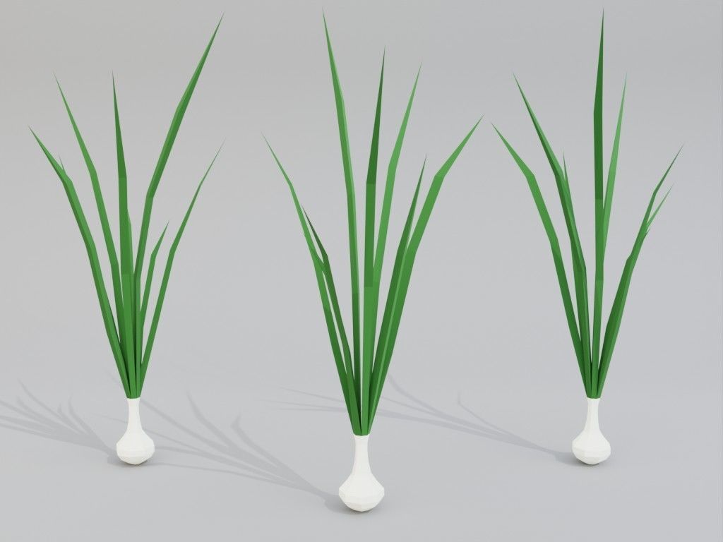 Low poly onion Low-poly 3D model_8