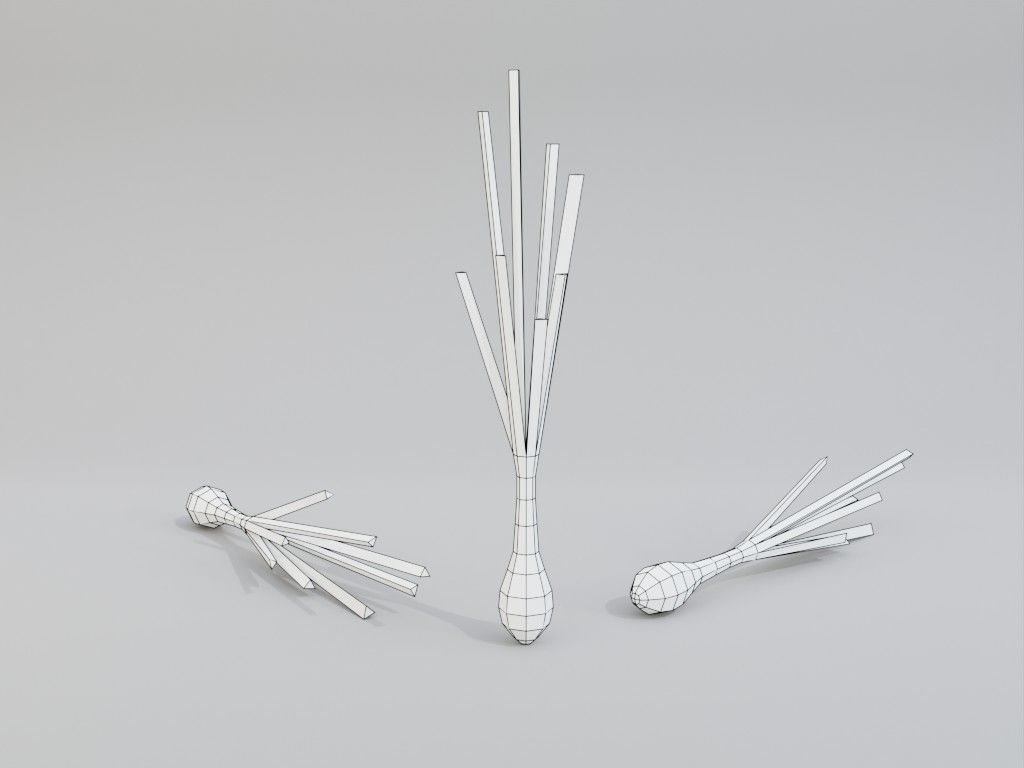 Low poly onion Low-poly 3D model_25