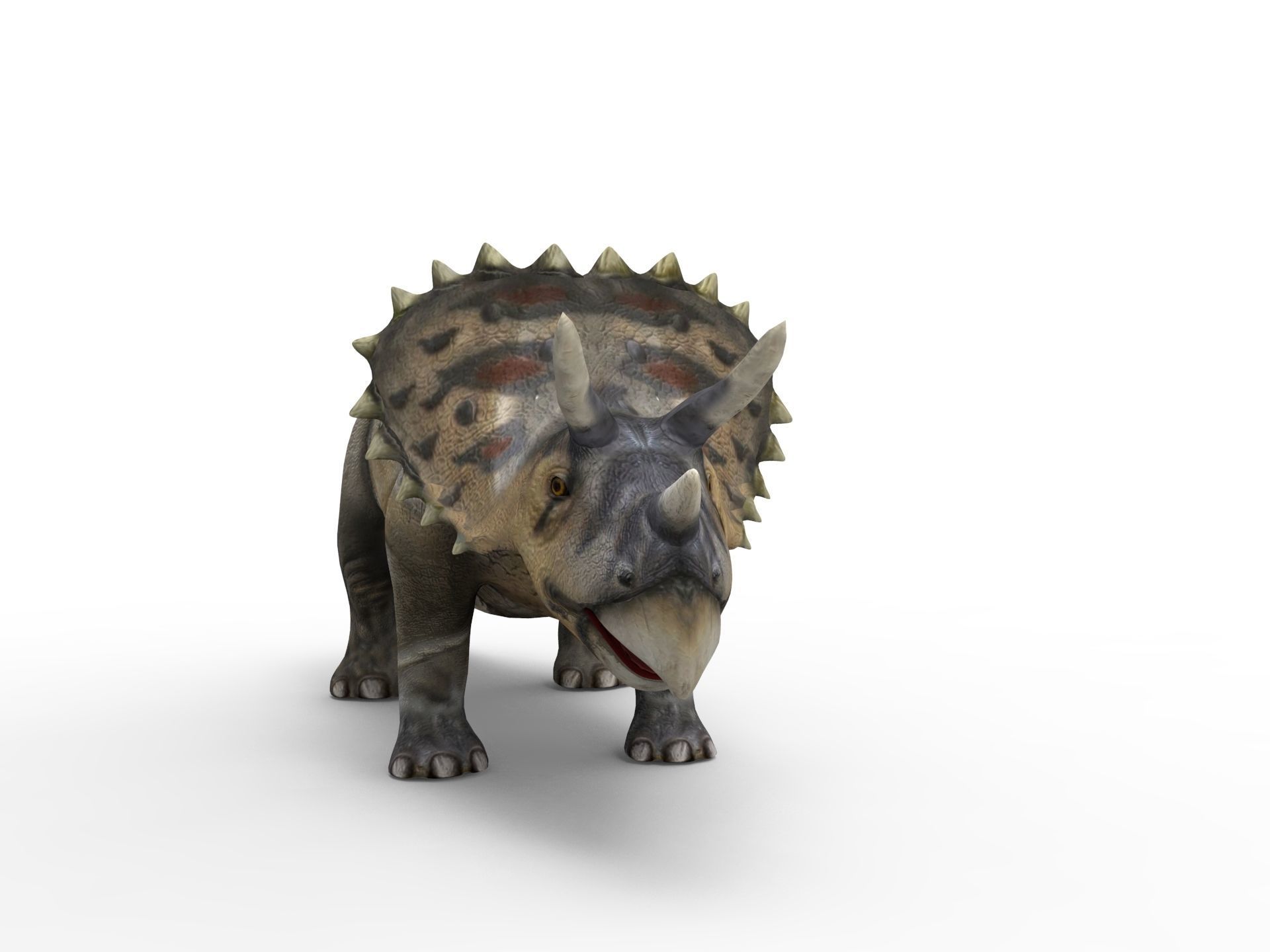 3D Realistic Triceratops Rigged and Animated  Low-poly 3D model_3