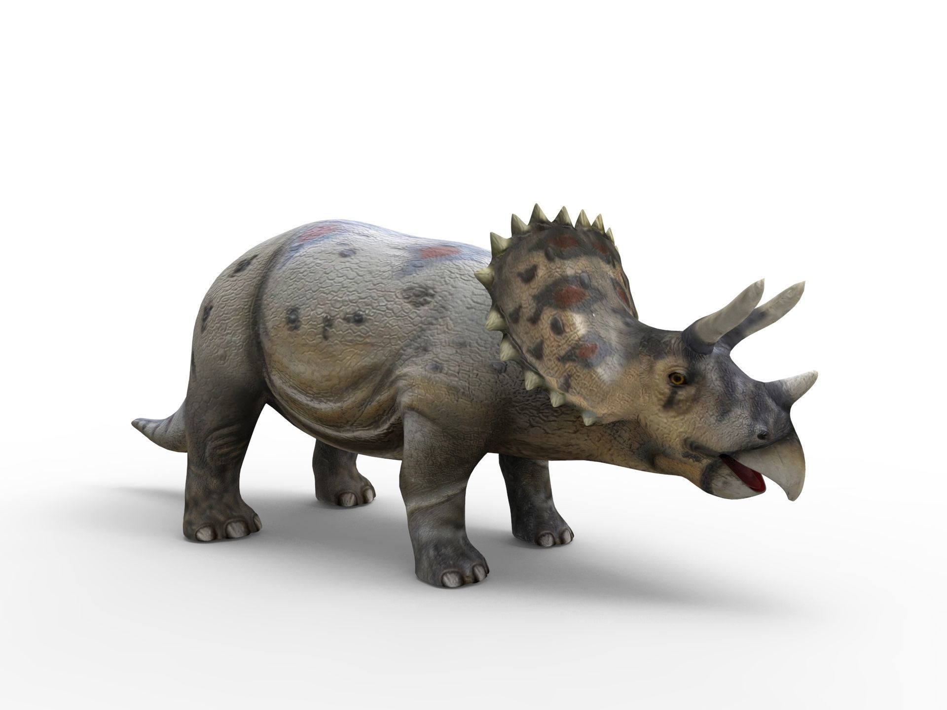 3D Realistic Triceratops Rigged and Animated  Low-poly 3D model_4
