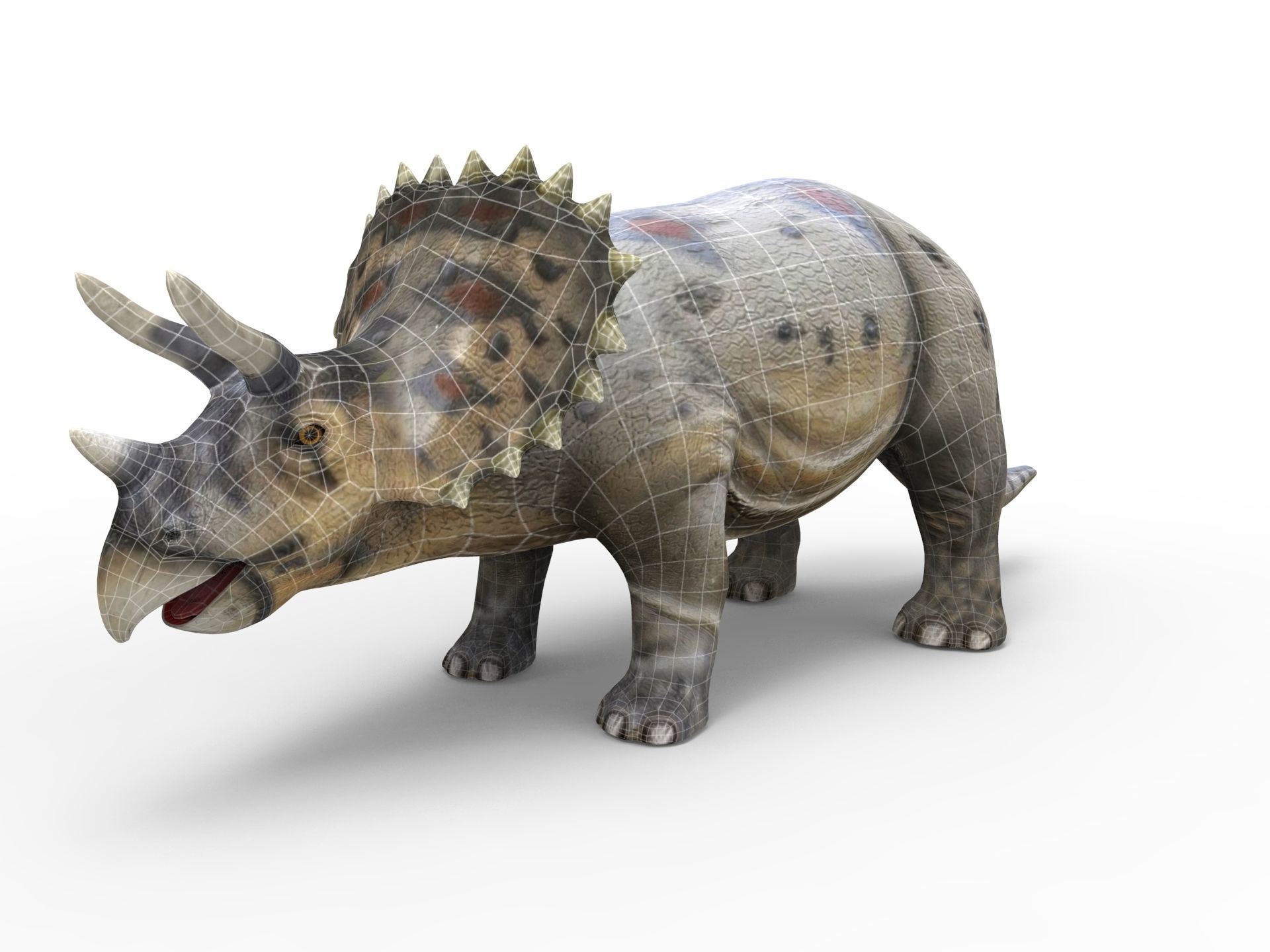 3D Realistic Triceratops Rigged and Animated  Low-poly 3D model_16