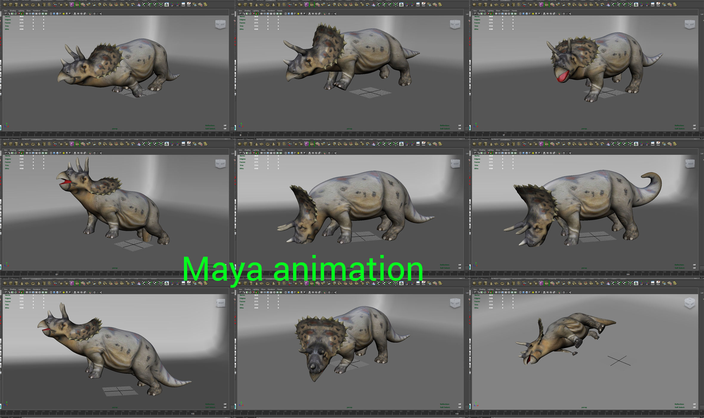 3D Realistic Triceratops Rigged and Animated  Low-poly 3D model_24