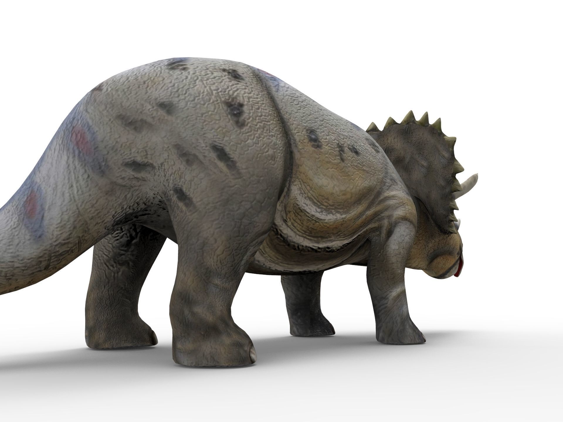 3D Realistic Triceratops Rigged and Animated  Low-poly 3D model_13