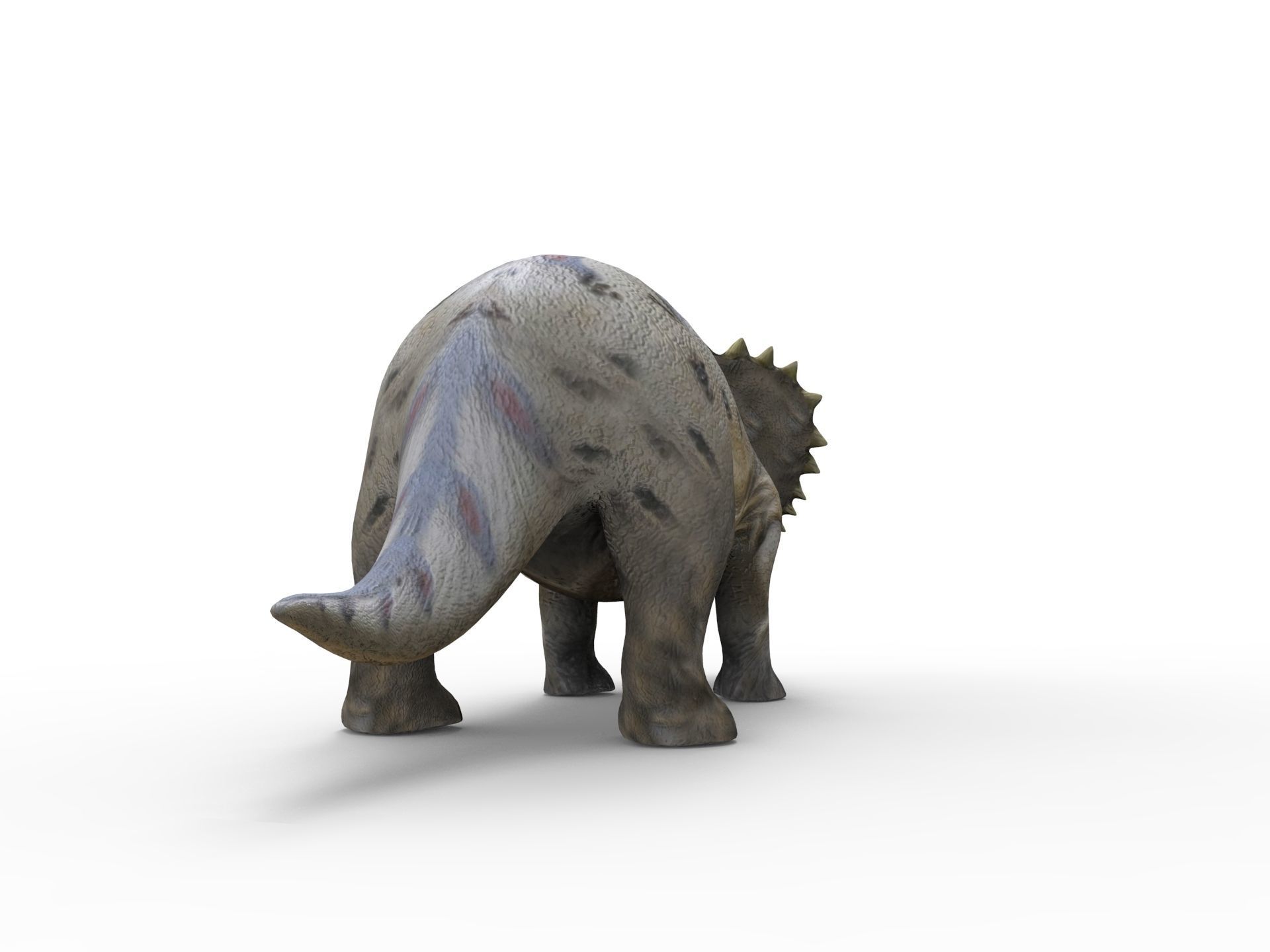 3D Realistic Triceratops Rigged and Animated  Low-poly 3D model_6
