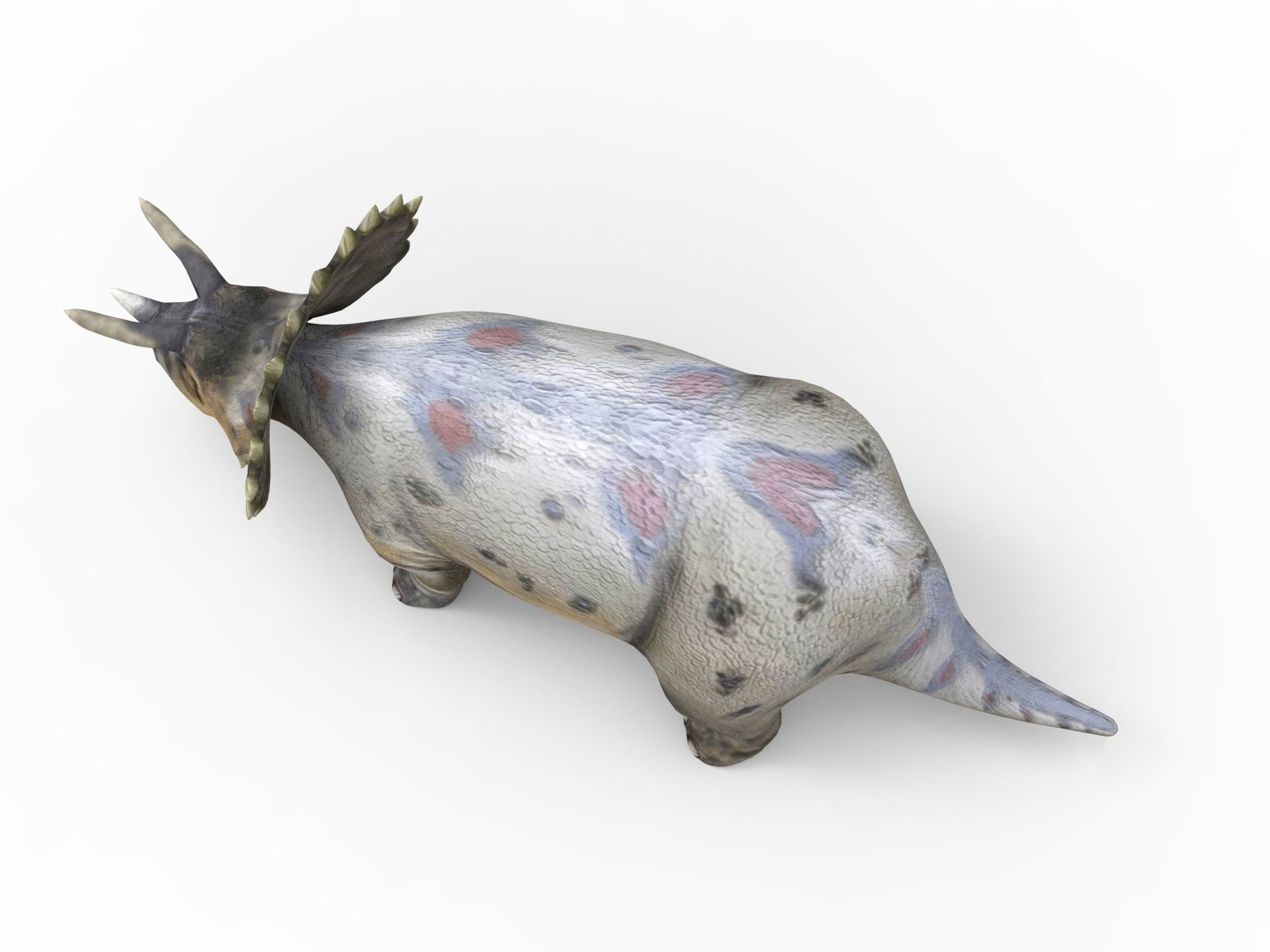 3D Realistic Triceratops Rigged and Animated  Low-poly 3D model_7