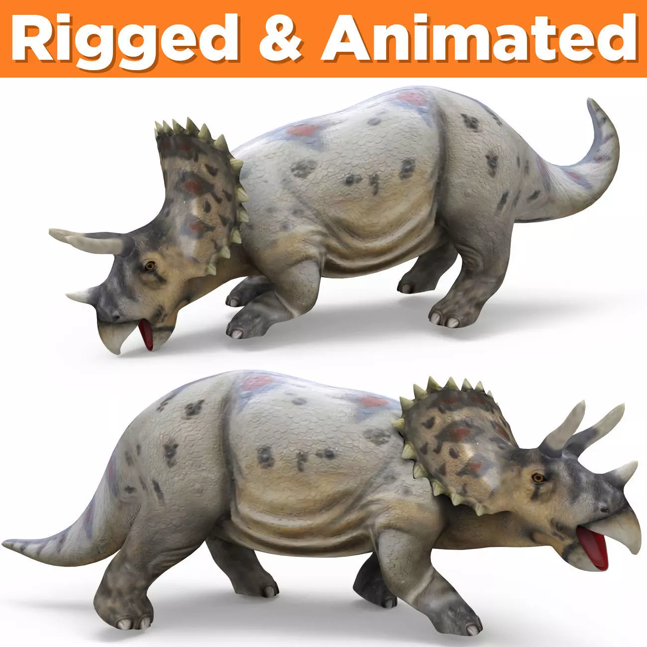 3D Realistic Triceratops Rigged and Animated  Low-poly 3D model_0