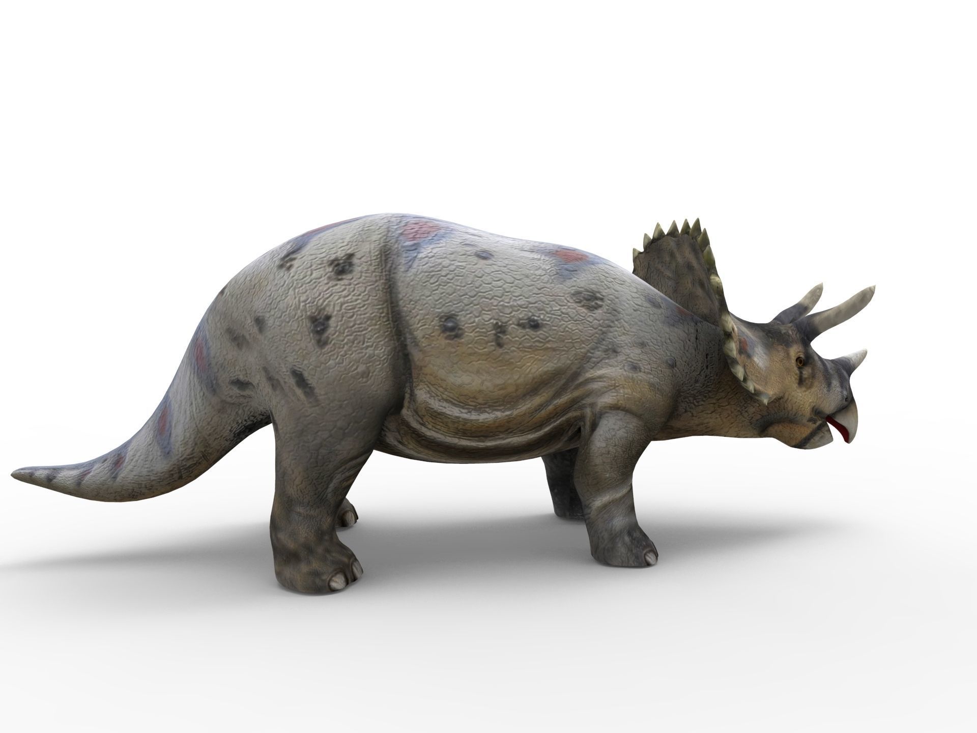 3D Realistic Triceratops Rigged and Animated  Low-poly 3D model_5